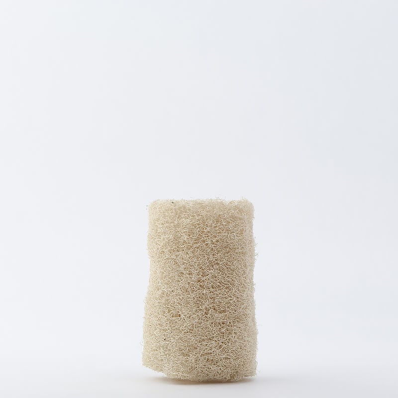 • Luffa Sponge